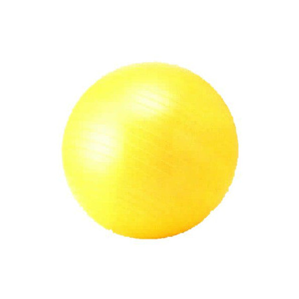 トレーニング フィットネスボール 55cm バランスボール 1個 NLS7655
